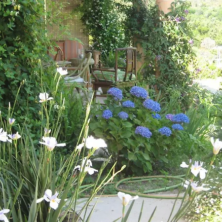 Gîte L'Appart de Case Vanille Sari-Solenzara Extérieur photo