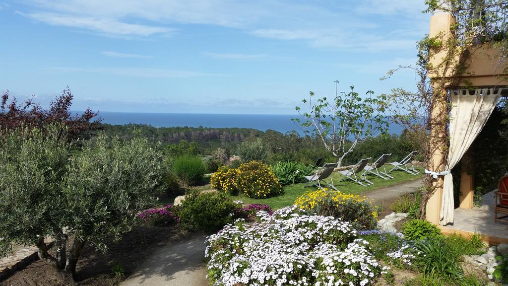 L'appart De Vanille Appartement Sari-Solenzara